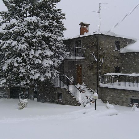 Agriturismo La Casina Villa Caprese Michelangelo Exteriör bild