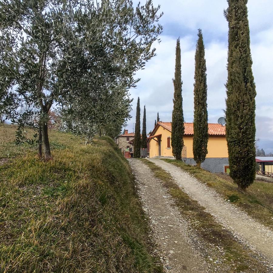 Agriturismo La Casina Villa Caprese Michelangelo Exteriör bild